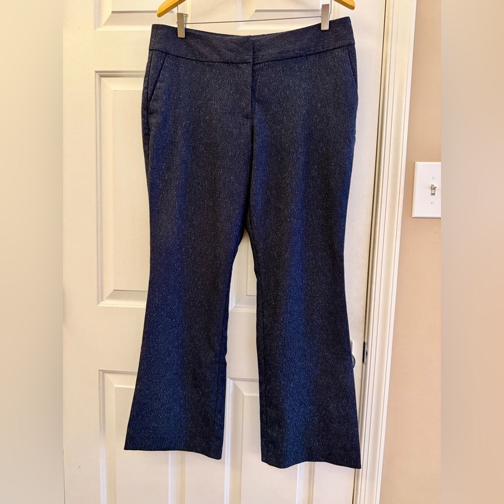 Ann Taylor Factory Navy Blue Trousers